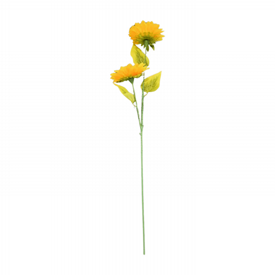 ����� 10